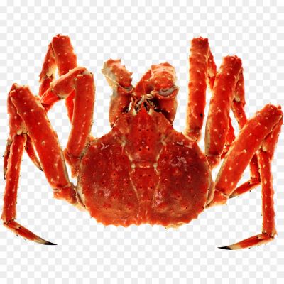 Crab-PNG-Photo-Image-M31FB6PB.png
