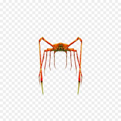 Crab-Spiders-Background-PNG-Image-Pngsource-ZAJU04RV.png