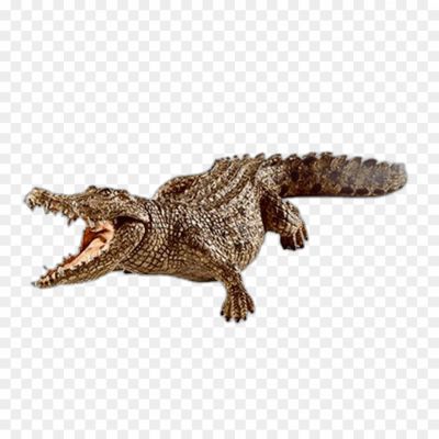 Crocodile, Reptile, Predator, Scaly Skin, Aquatic, Carnivorous, Powerful Jaws, Stealthy Hunter, Estuarine Crocodile, Nile Crocodile, Saltwater Crocodile, Crocodile Habitat, Freshwater Ecosystems, Camouflage, Prehistoric Creature
