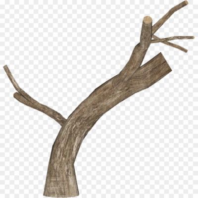 Dead-Tree-Empty-Branches-PNG-Background-Pngsource-JUBDT16F.png