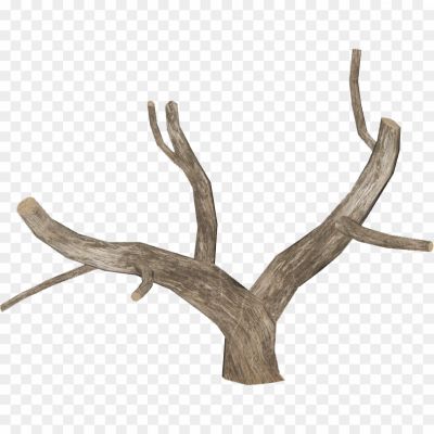 Dead-Tree-Empty-Branches-PNG-Photo-Image-Pngsource-8QCBV8NO.png