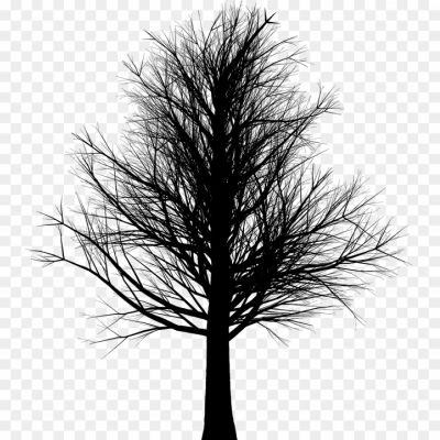 Dead-Tree-Empty-Branches-Transparent-Images-Pngsource-T07KUDO8.png