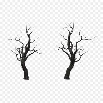 Dead-Tree-Trunks-PNG-Free-File-Download-Pngsource-W4CO12JF.png