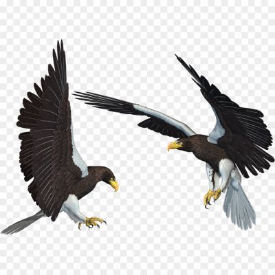 Diving-Eagle-PNG-HD-Quality-Pngsource-ZG0I46SY.png