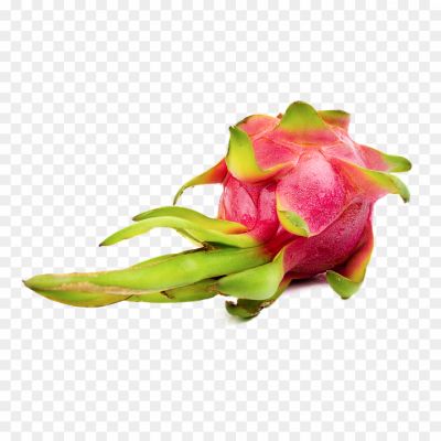 Dragon-Fruit-PNG-Isolated-Image-WC0XAPT3.png