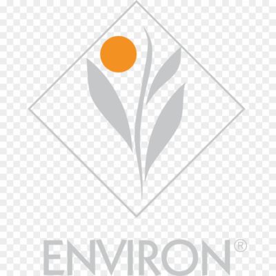 Environ-Logo-Pngsource-AFSYN03Y.png