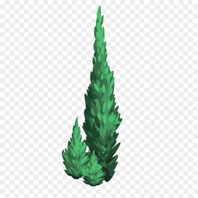 Evergreen-Tree-PNG-Pic.png