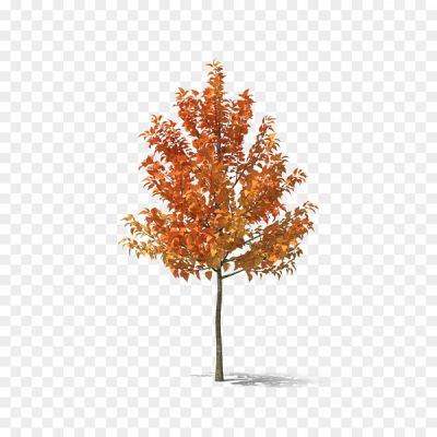 Fall-Tree-PNG-HD-132UJK87.png