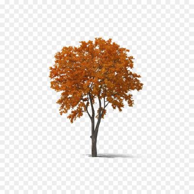 Fall-Tree-PNG-Transparent-Q4AXEFS0.png