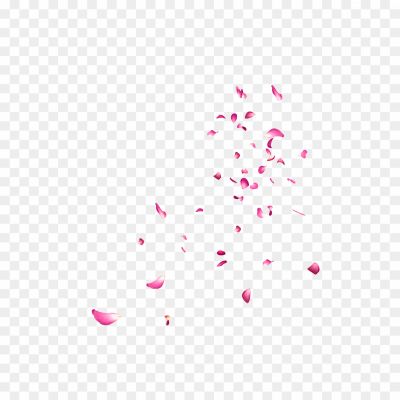 Falling-Rose-Petals-PNG-Picture-VTCX9T5W.png