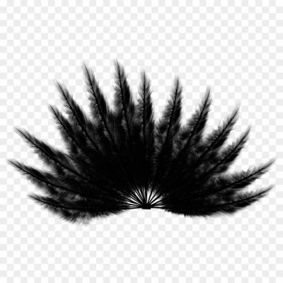 Feather-Black-Free-PNG-D79BOZJR.png
