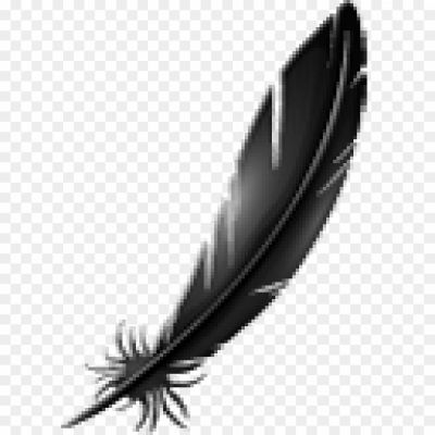 Feather-Black-PNG-Background-B3V2DCQO.png PNG Images Icons and Vector Files - pngsource