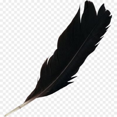 Feather-Black-PNG-Free-File-Download-9FYHCA00.png