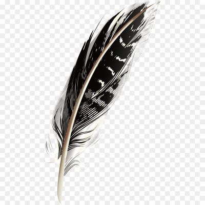 Feather-Black-PNG-Pic-Background-FH48QRO0.png