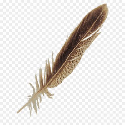 Feather-Brown-PNG-Images-HD-U3AXL15L.png