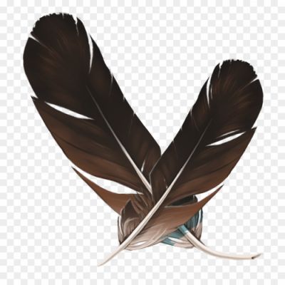 Feathers-Background-PNG-Image-WJL09PUO.png