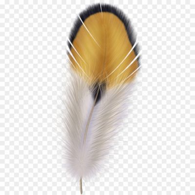 Feathers Transparent PNG FND4IEBU - Pngsource