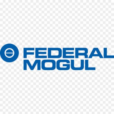 FederalMogul-Logo-420x98-Pngsource-EJMXOJD7.png