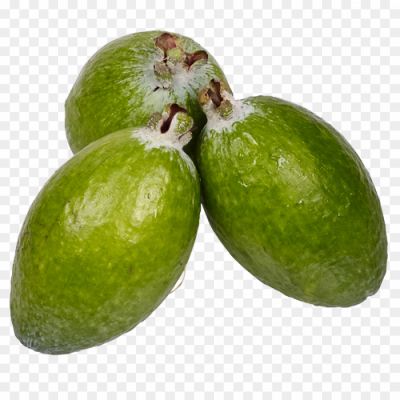 Feijoa-PNG-Clipart-YST7EG7O.png
