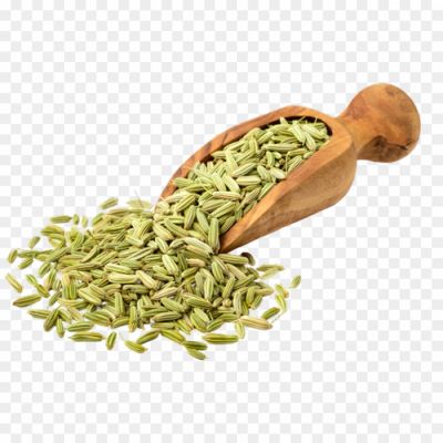 Fennel-PNG-HD-WTBTSBE1.png