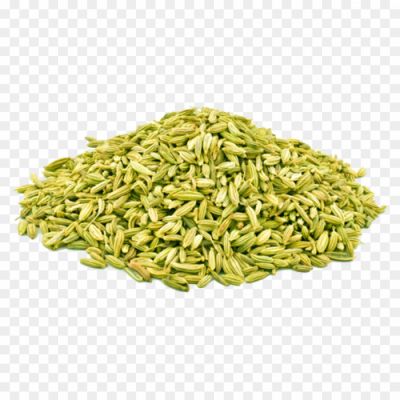 Fennel-PNG-Image-33Y2Y1ML.png