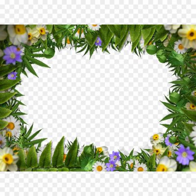 Floral-Border-Frame-PNG-Clipart.png