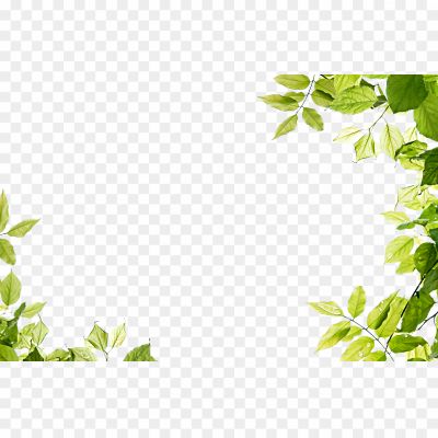 Floral-Green-Frame-Transparent-PNG.png