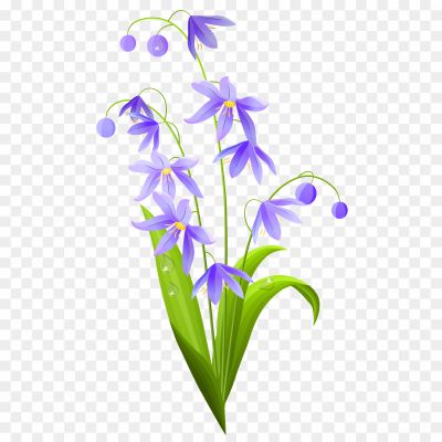 Floral-Spring-Flower-Transparent-PNG-Pngsource-BN3J5NLP.png