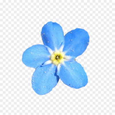 Flower-Blue-Free-PNG-Pngsource-MPFK0CHE.png