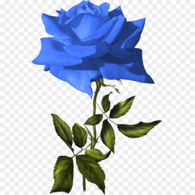 Flower-Blue-PNG-Background-Pngsource-A8STM7VL.png