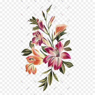 Flower-Download-Free-PNG-Pngsource-RG6BUZH1.png