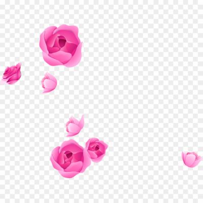 Flower-PNG-Isolated-Photos-Pngsource-QOL7EKUF.png