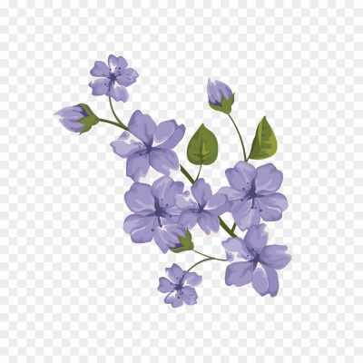 Flower-PNG-Transparent-Pngsource-ZM0AA9ZK.png