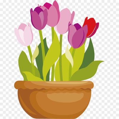 Flower-Pot-Cartoon-Transparent-PNG-Pngsource-L56BUHT5.png