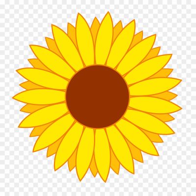 Flower-Vector-Art-Sunflower-PNG-Pngsource-QRHFOOWD.png