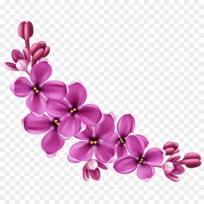 Flowers-Purple-Curve-Transparent-PNG-Pngsource-PNOTOE94.png