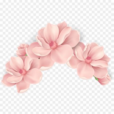 Flowers-Vector-PNG-Pngsource-2XDFRQNC.png