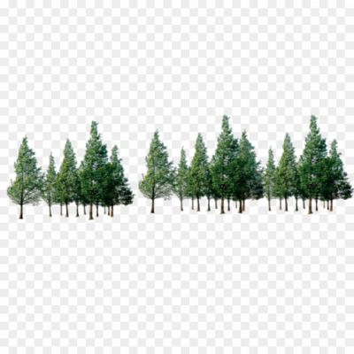 Forest-Tree-PNG-Pic-T6ABLNPZ.png