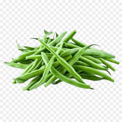 French Beans, Green Beans, String Beans, Snap Beans, Legumes, Vegetables, Nutritious, Fiber-rich, Cooking Ingredient, Side Dish, Stir-fry, Sautéed Beans, Steamed Beans, French Bean Salad, French Bean Casserole