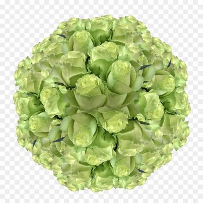 Fresh-Bouquet-Free-PNG-IMYFSIJY.png