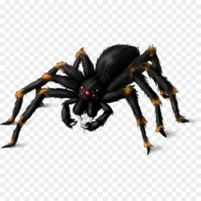 Giant-Spider-PNG-Clipart-Background-Pngsource-VGJWW1SW.png