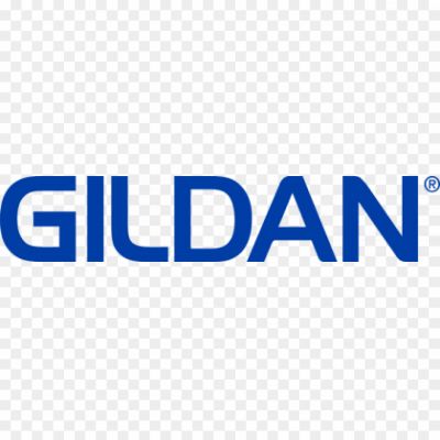 Gildan-logo-wordmark-Pngsource-6AFMQ7MT.png