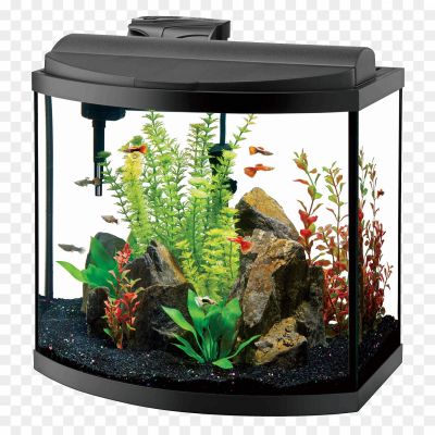 Glass Aquarium Fish Tank PNG Clipart Background - Pngsource