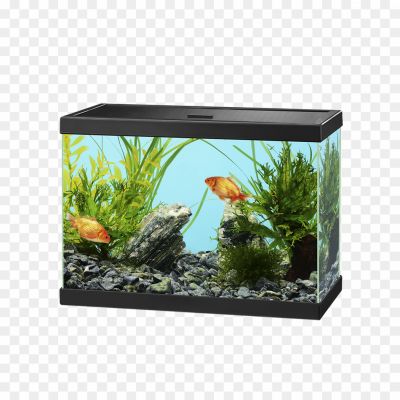 Aquarium, Fish tank, Glass, Water, Fish, Aquatic, Habitat, Decor, Plants, Gravel, Lighting, Oxygen, Filtration, Heater, Tropical, Saltwater, Freshwater, Marine, Pet, Ecosystem