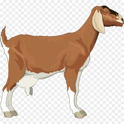 Goat-PNG-HD-Quality-Pngsource-7K2ERMXG.png PNG Images Icons and Vector Files - pngsource