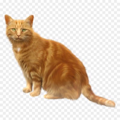 Golden-Cat-PNG.png PNG Images Icons and Vector Files - pngsource