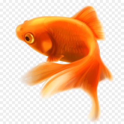 Golden-Fish-Background-PNG-Image-62Z9EYXW.png