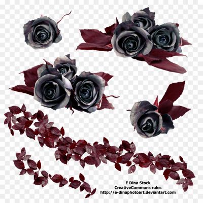Gothic-Rose-PNG-Free-Download.png