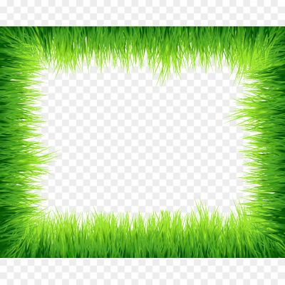 Green-Border-Frame-PNG-Photos-Pngsource-GDMN5ZNY.png