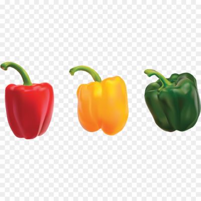 Green-Pepper-PNG-Photos-SANPQT4L.png PNG Images Icons and Vector Files - pngsource